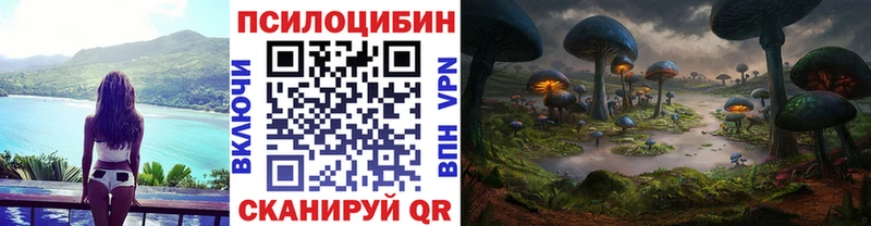 Купить закладки  Сыктывкар  Галлюциногенные грибы мухоморы 